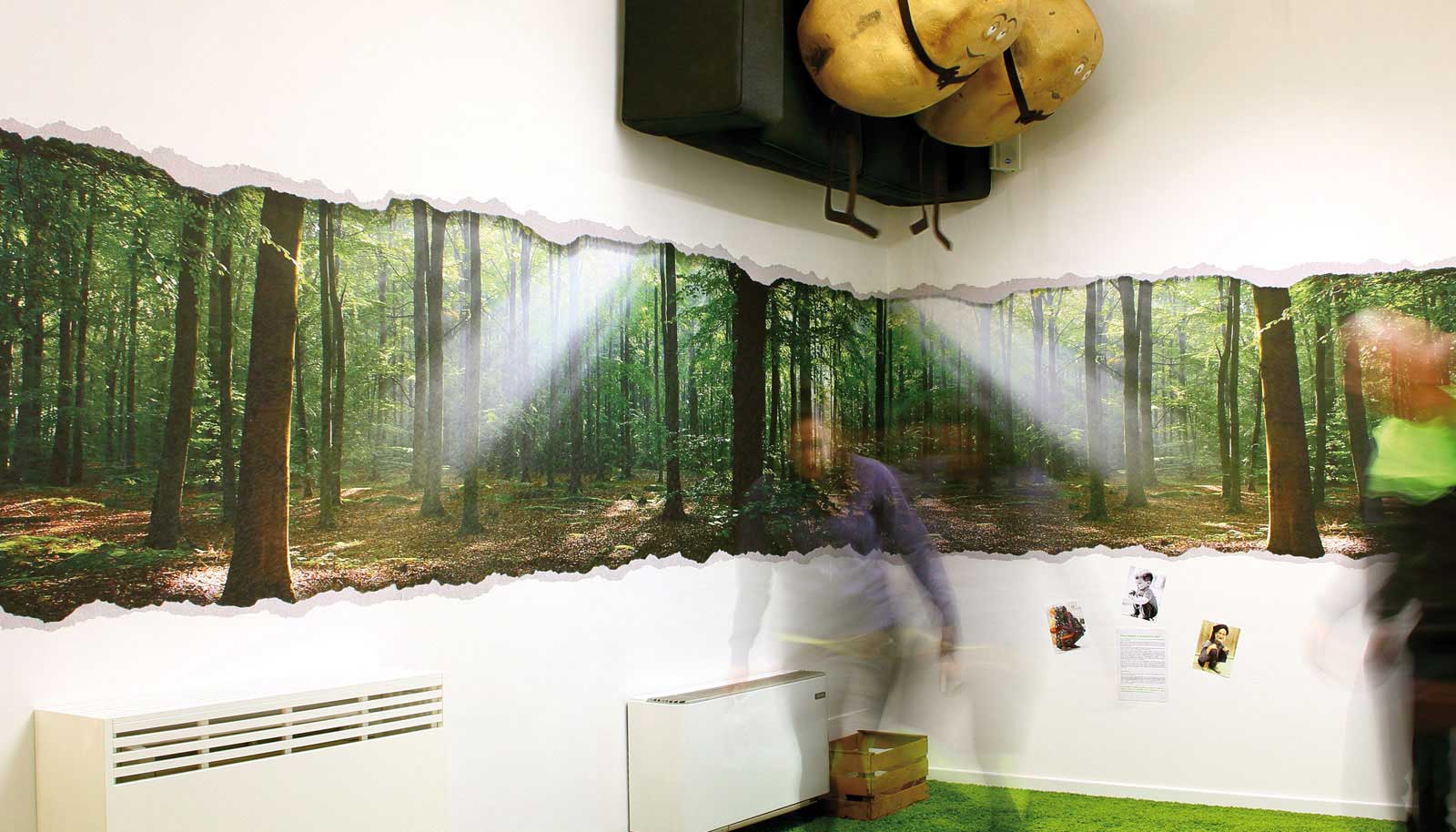grafica bosco con raggi di sole applicata a un muro